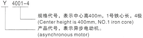 西安泰富西玛Y系列(H355-1000)高压YKS5605-10三相异步电机型号说明