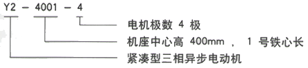 YR系列(H355-1000)高压YKS5605-10三相异步电机西安西玛电机型号说明